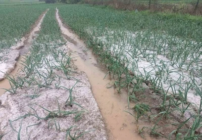 Kastamonu&rsquo;da dolu yağışı etkili oldu
