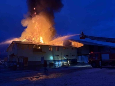 Kastamonu&rsquo;da fabrika yangını
