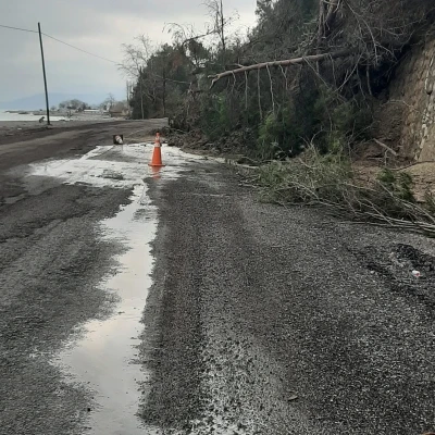 Kastamonu&rsquo;da heyelanda istinat duvarını aşan ağa&ccedil;lar yola kadar geldi
