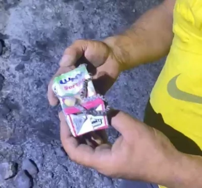 Kastamonu’da küle dönen ormanda sağ bulunan yavru yılan görenleri şaşırttı
