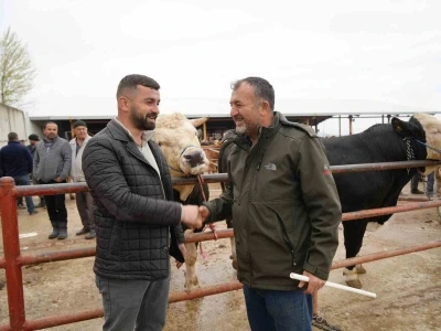 Kastamonu&rsquo;da Kurban Bayramı hareketliliği: 850 kilogramlık tosun 340 bin liraya alıcı buldu
