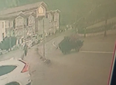 Kastamonu&rsquo;da lastiği fırlayan tarım aracı takla attı: 1 yaralı
