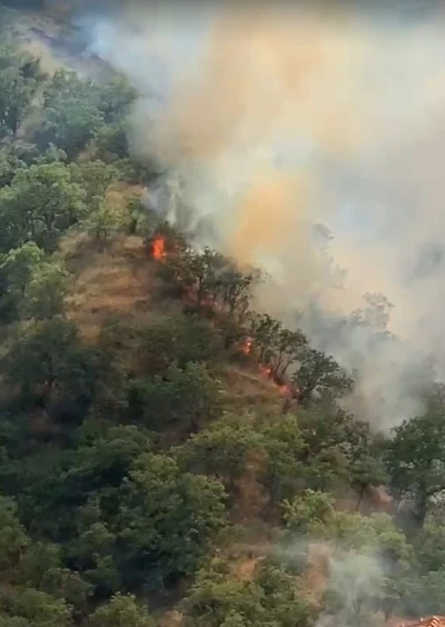 Kastamonu&rsquo;da orman yangınında 40 d&ouml;n&uuml;ml&uuml;k alan zarar g&ouml;rd&uuml;
