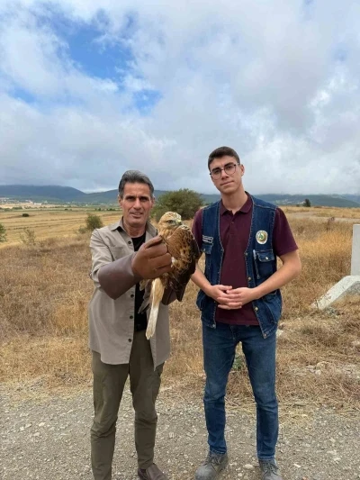 Kastamonu’da yaralı halde bulunan şahin tedavi altına alındı
