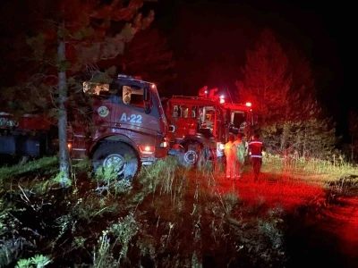 Kastamonu&rsquo;daki orman yangını kontrol altına alındı
