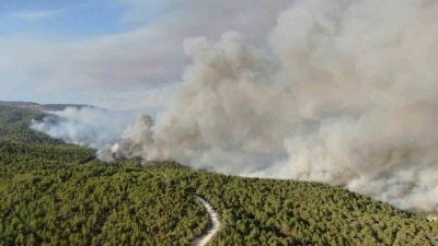 Kastamonu’daki orman yangını sürüyor: Kuvvetli rüzgar yangının enerjisini arttırdı
