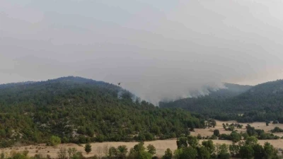Kastamonu’daki orman yangınına müdahale böyle görüntülendi
