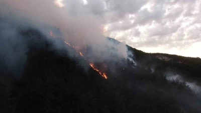 Kastamonu&rsquo;daki orman yangınına m&uuml;dahale s&uuml;r&uuml;yor

