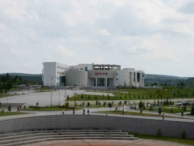 Kastamonu Üniversitesi, &quot;Ambrosia&quot; polenlerini inceleyecek
