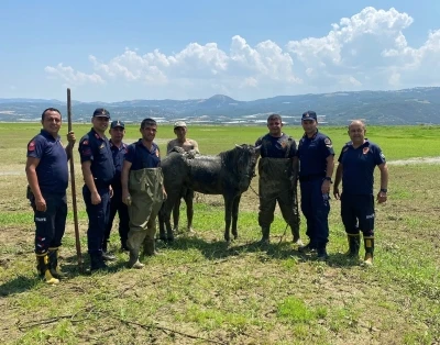 Katırlarını kurtarmak isterken kendisi de battı
