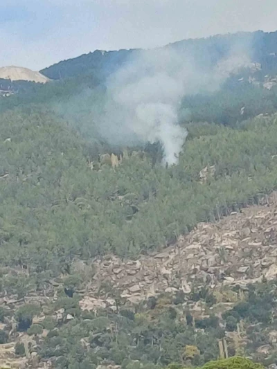 Kavaklıdere’deki orman yangını kontrol altına alındı
