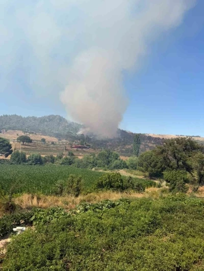 Kavaklıdere&rsquo;deki yangına m&uuml;dahale s&uuml;r&uuml;yor

