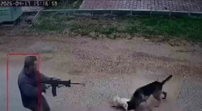 Kavga eden sokak k&ouml;peklerine t&uuml;fekle ateş edip bir k&ouml;peği &ouml;ld&uuml;rd&uuml;
