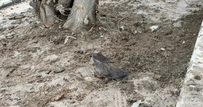 Kayganlaşan yolda kontrolden &ccedil;ıkan motosiklet ağaca &ccedil;arptı: Kurye hayatını kaybetti
