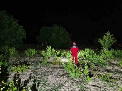 Kayıp 82 yaşındaki şahsı arama &ccedil;alışmaları s&uuml;r&uuml;yor
