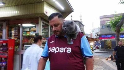 Kayıp kedi &rsquo;Tom&rsquo; 4 g&uuml;n sonra bulundu
