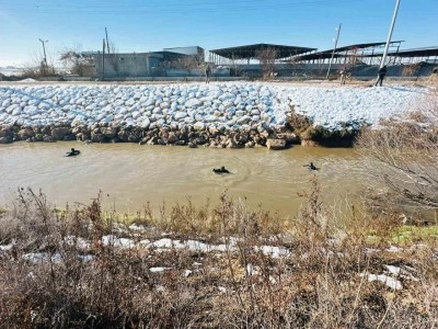 Kayıp s&uuml;r&uuml;c&uuml;y&uuml; arama &ccedil;alışması devam ediyor