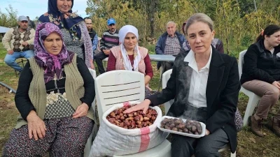 Kaymakam Kan, kestane hasadına katıldı
