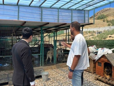 Kaymakam Tutal, Hayvan Barınağı’nda incelemelerde bulundu
