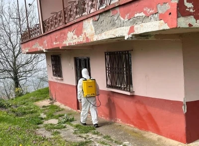 Kaynaşlı ve Yığılca&rsquo;da Kahverengi Kokarcayla m&uuml;cadele s&uuml;r&uuml;yor
