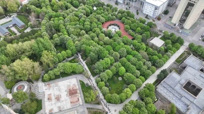 Kayseri&rsquo;de 300 bin k&ouml;k organik domates fidesine yoğun ilgi
