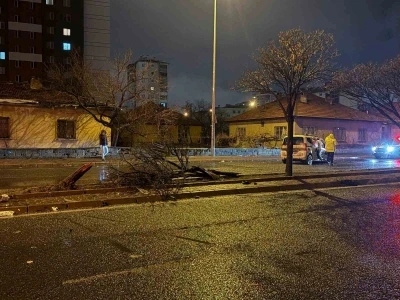 Kaza savrulan otomobil ağacı ikiye b&ouml;ld&uuml;: 4 yaralı
