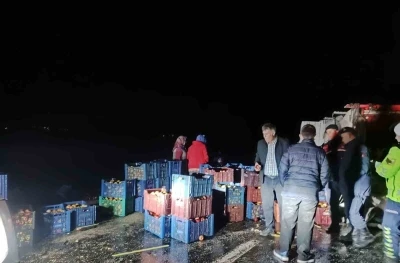 Kazada &ccedil;evreye dağılan elmaları k&ouml;y sakinleri topladı
