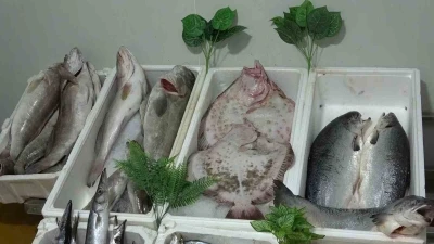 Kebap şehri Gaziantep’in yeni gözdesi balık
