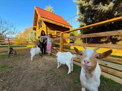 Ke&ccedil;i, &ouml;rdek, tavuk, tavşan: Hepsinin g&ouml;revi "&Ccedil;ok &ouml;zel"
