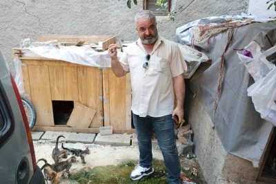 Kedi maması &ccedil;alan hırsız vatandaşı canından bezdirdi
