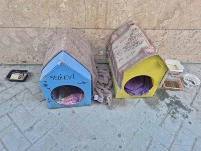 Kediler i&ccedil;in yaptığı evler i&ccedil;in vicdanlara seslendi, "L&uuml;tfen dokunmayalım"
