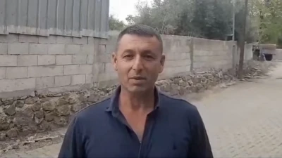 Kediye kalp masajı yaptı, hayata döndürdü
