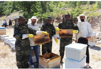 Kemah’ta arıcıların bal hasadı
