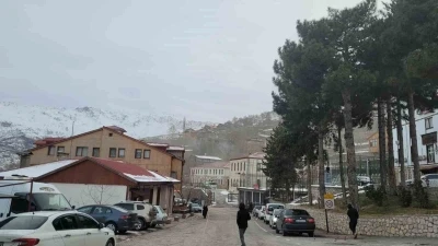 Kemaliye 2025&rsquo;i de k&ouml;m&uuml;rle ge&ccedil;irdi
