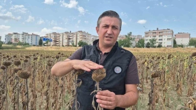 Kendilerine kepçeyle, çiftçiye çay kaşığıyla: Trakya Birlik’e tepki büyüyor
