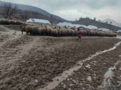 Kendisi k&uuml;&ccedil;&uuml;k y&uuml;reği b&uuml;y&uuml;k: Minik Zeynep&rsquo;in yeni doğan kuzuyu soğuktan korumak i&ccedil;in g&ouml;sterdiği &ccedil;aba duygulandırdı

