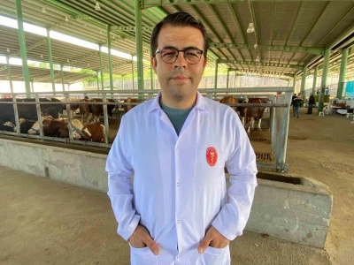 Kene tehdidine dikkat: 200&rsquo;den fazla hastalık etkeni taşıyabiliyor
