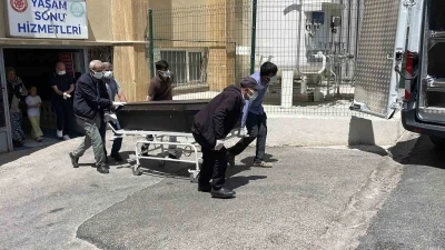 Kene tutunması sonrası 7. &ouml;l&uuml;m
