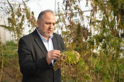 Kenevirden kau&ccedil;uk, krem ve biyomalzeme: OM&Uuml;&rsquo;den &ccedil;ok y&ouml;nl&uuml; kenevir &ccedil;alışmaları
