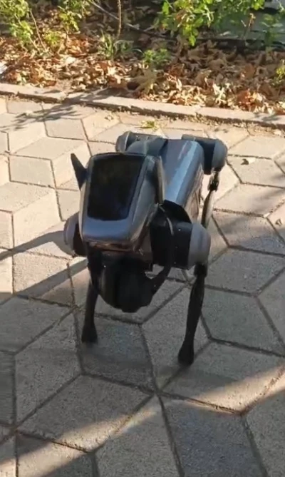 Kent merkezindeki robot köpek görenleri hayrete düşürdü
