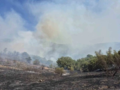 Kepsut’ta orman yangını
