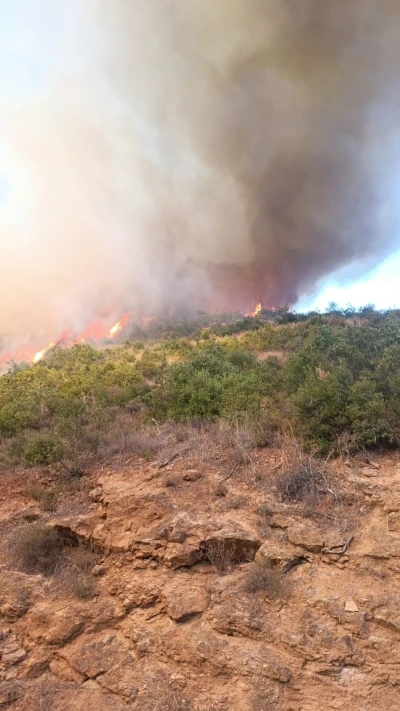 Kepsut’ta orman yangını başladı
