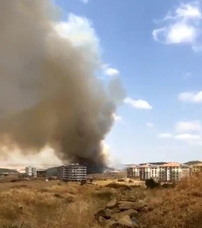 Keşan’da ağaçlık alanda çıkan yangın rüzgarla büyüyor
