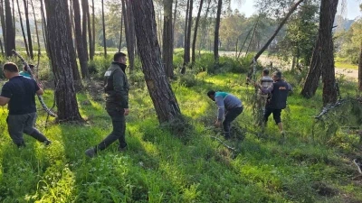 Kesilen basralı dallar arıcılar i&ccedil;in ormana bırakıldı
