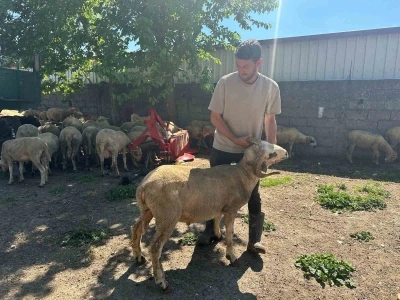 Kestirmek isteyene kırsalda kurbanlık 20 bin liradan başlıyor
