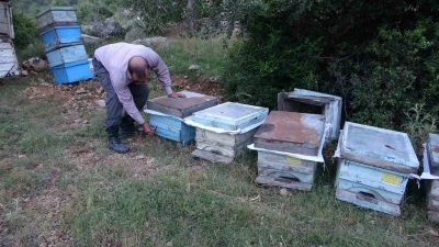Keven ve kekik balı i&ccedil;in yayla yolculuğu başladı
