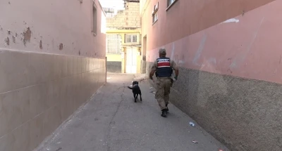 Kilis’te 2 yaşındaki kız çocuğu kayboldu
