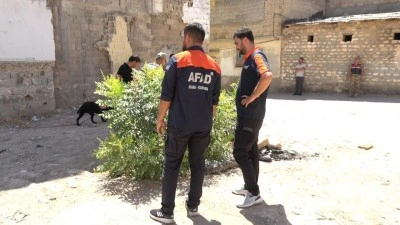 Kilis'te 2 yaşındaki kız çocuğu kayboldu