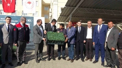 Kilis&rsquo;te 320 &ccedil;ift&ccedil;iye &uuml;z&uuml;m şalı, 250 &ccedil;ift&ccedil;iye 400 bin fide desteği
