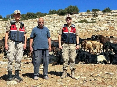 Kilis’te kaybolan 100 küçükbaş hayvan bulundu
